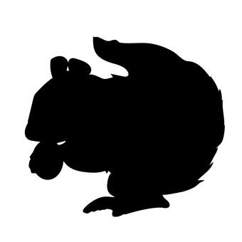 りすシルエット りす,シルエット,影,シマリス,小動物,動物,ベタ塗り,アイコン,横,全身のイラスト素材