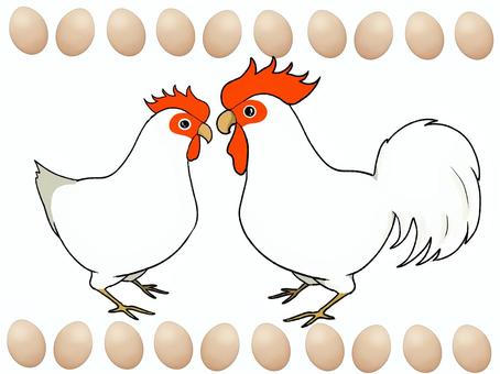 ニワトリ ニワトリ,鳥,二羽,雄,雌,卵のイラスト素材