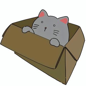 ダンボールに入った猫 ダンボール,動物,猫,生き物,捨て猫,箱,入れ物,配達,紙,運搬のイラスト素材