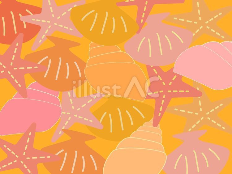 貝殻　背景 貝殻,ヒトデ,模様のイラスト素材