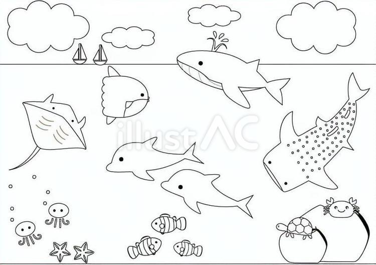海の生き物（ぬりえ） モノクロ,ぬりえ,夏のイラスト素材