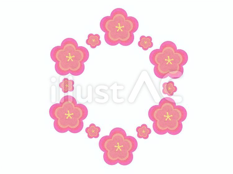 梅の花フレーム 梅の花,梅,花のイラスト素材
