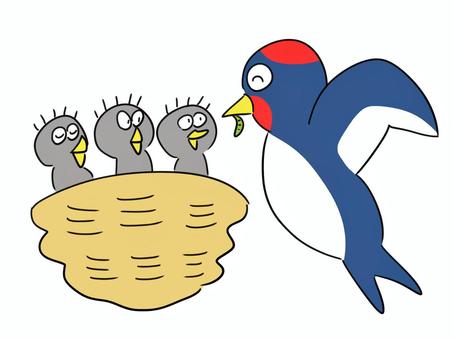 雛にエサをやるツバメのイラスト ツバメ,鳥,燕,動物,生き物,つばめ,トリ,雛,子供,アニマルのイラスト素材
