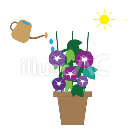 夏の日に朝顔に水やりをしているイラスト