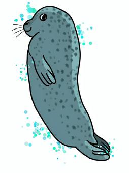 ごまちゃん ゴマフアザラシ,アザラシ,海獣,野生動物,かわいい,泳ぐ,後ろ姿,振り向くのイラスト素材