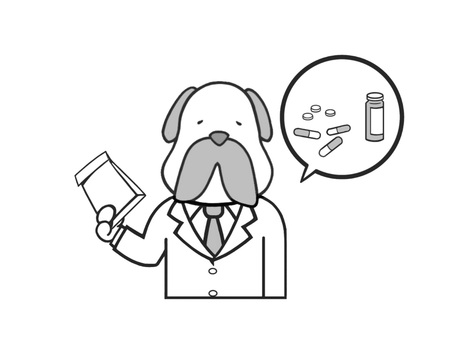 薬の説明をする動物の犬の薬剤師 薬剤師,犬,いぬ,動物,薬,白衣,手描き,ドラックストア,笑顔,病院のイラスト素材