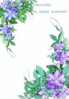 Illustration, flower, clematis, a vine, 