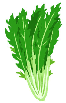 Illustration, mizuna, vegetables, green and yellow vegetables, 
