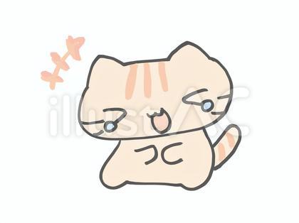 爆笑 ねこ