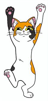 三毛猫　バンザイ　イラスト 動物,三毛猫,笑顔,バンザイ,ピンク色,肉球,背景,色なしのイラスト素材