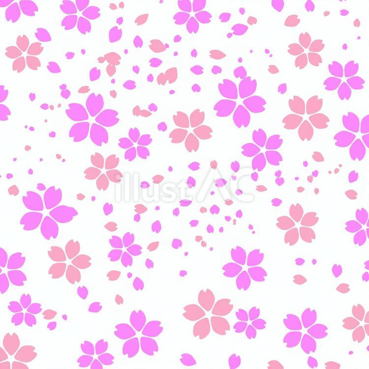 桜 桜,花,咲くのイラスト素材