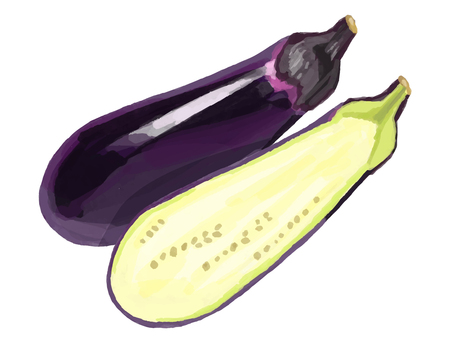 リアルすぎないナス 食べ物,野菜,ナス,断面,半分,カット,2分の１,夏野菜のイラスト素材