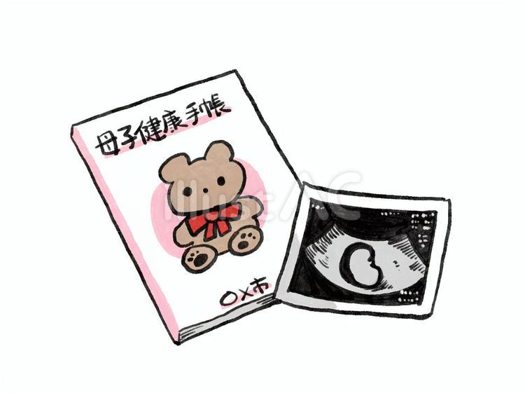 母子手帳とエコー写真 母子手帳,エコー写真,妊娠のイラスト素材