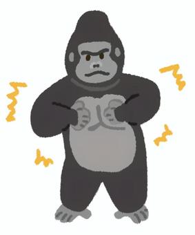 ドラミングして胸を叩いている可愛いゴリラ ゴリラ,ドラミング,動物,胸,叩く,野生,生き物,動物園,ジャングル,アフリカのイラスト素材