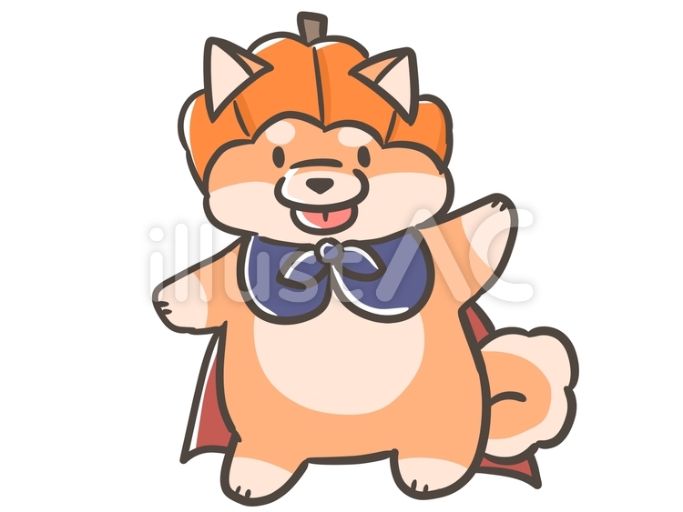 かぼちゃ頭の柴犬 犬,柴犬,動物のイラスト素材