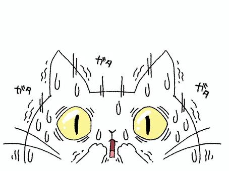 怯える猫 猫,汗,震え,怯える,リアクション,お知らせ用,宣伝用,pop調,手描き,挿絵のイラスト素材