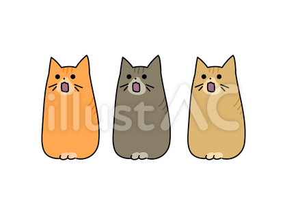 フレーメン反応する猫