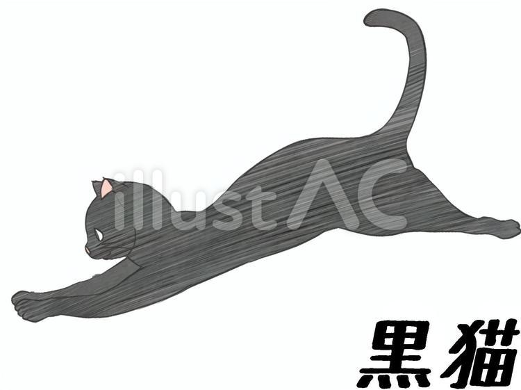 黒猫 黒猫,猫,動物のイラスト素材