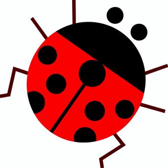 てんとう虫 昆虫,てんとうむし,てんとう虫,天道虫,七星,ナナホシ,ベクターのイラスト素材