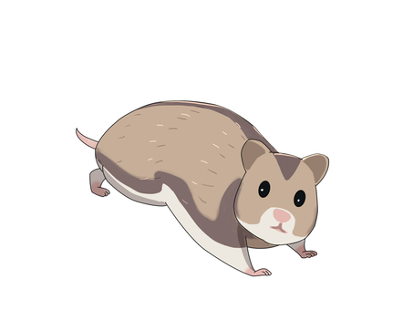 ハムスター（走る） ジャンガリアンハムスター,ヒメキヌゲネズミ,ドワーフハムスター,ハムスター,動物,走るのイラスト素材