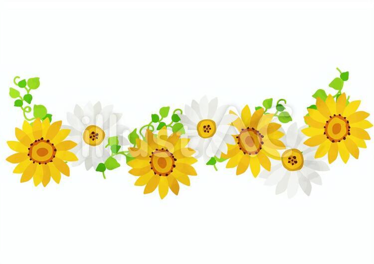 水彩風のひまわり ひまわり,花,水彩風のイラスト素材