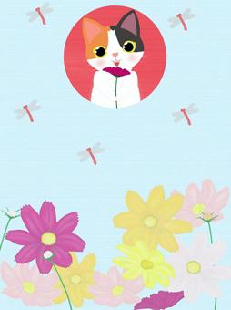 秋桜と三毛猫ちゃん3 秋桜,花,猫,三毛猫,子猫,植物,手紙,便せん,カード,愛猫のイラスト素材