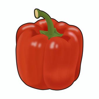 赤いパプリカのリアルテイストイラスト パプリカ,赤パプリカ,野菜,栄養,健康,食育,ヘルシー,献立,メニュー,食品のイラスト素材