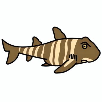 ネコザメ ネコザメ ネコザメ,鮫,シンプル,かわいい,挿絵,カットイラスト,ワンポイント,魚,水族館,図鑑のイラスト素材