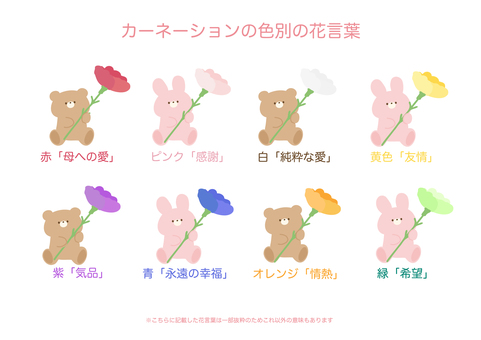 Illustration, carnation, flower language, flower, 