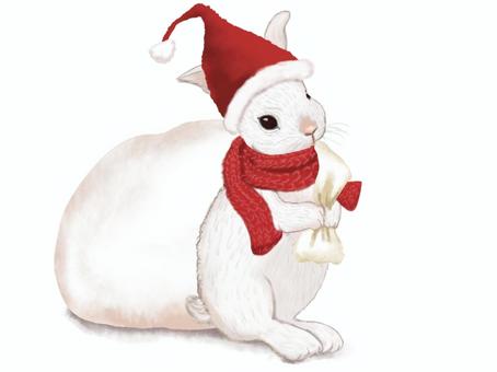 Illustration, rabbit, wild rabbit, santa claus, 