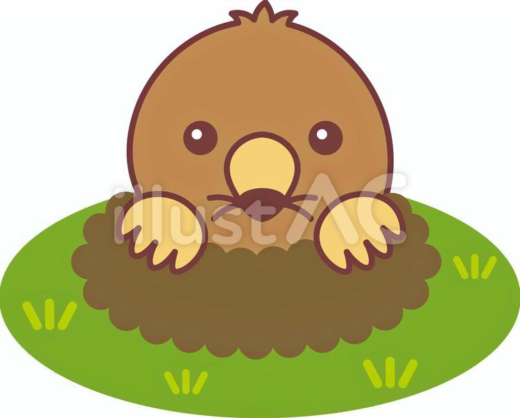 もぐら もぐら,哺乳類,動物のイラスト素材