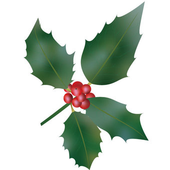 Illustration, holly, christmas, lease, 