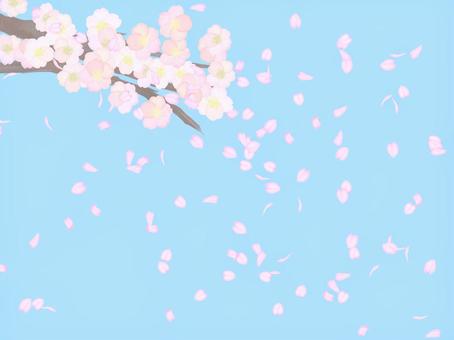 Sakura 04, , JPG and PNG