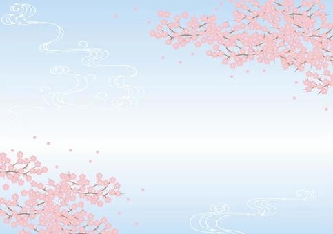 Illustration, cherry blossoms, full bloom, background, 