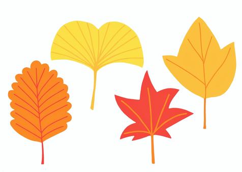 紅葉した葉っぱ