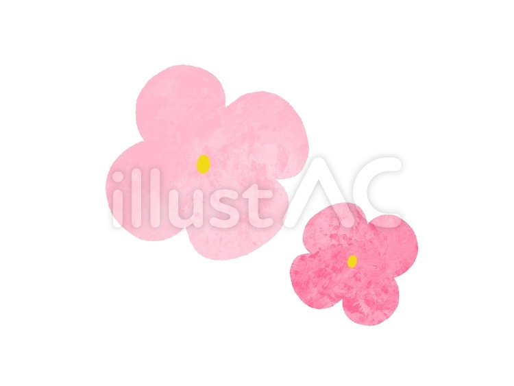 あじさい　花びら　ピンク あじさい,紫陽花,アジサイのイラスト素材