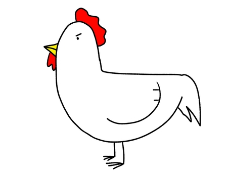 ニワトリ ニワトリ ニワトリ,鳥,鳥類,動物,生き物,羽,くちばし,トサカ,十二支,酉のイラスト素材
