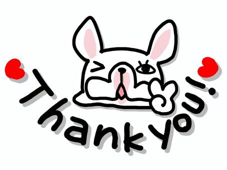 dog, thank you, dog, french bulldog, JPG and PNG