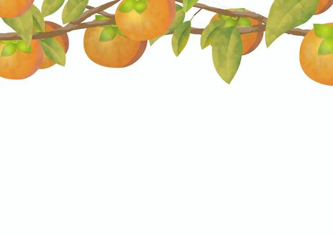 柿の木に実がなる 柿,果物,食べ物,植物,木,葉,実,水彩画,フレーム,背景のイラスト素材