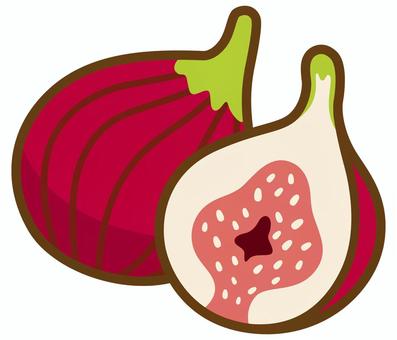 半分にカットされたイチジク 半分にカットされたイチジク いちじく,イチジク,果実,果物,フルーツ,食材,無花果,食べ物,秋,秋の味覚のイラスト素材