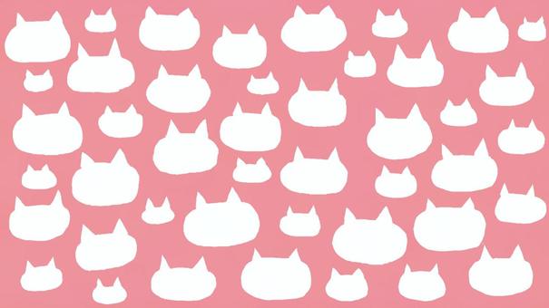 Pink Cat_for 博客 16: 9, JPG 和 PNG Pink Cat_for 博客 16: 9, 搶眼, 為您的博客, 粉紅色, JPG 和 PNG