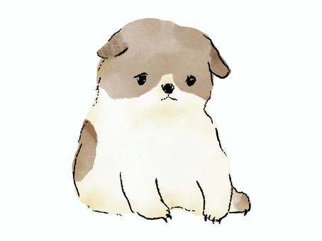 お座りする子犬（水彩・絵本風） 犬,子犬,かわいい,手書き,手描き,ベクター,水彩,絵本風,アイコン,全身のイラスト素材