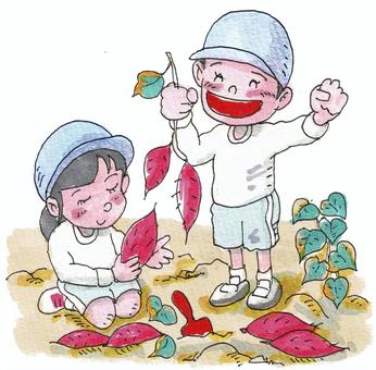 チャイルド芋掘り1 子供,園児,芋掘り,さつまいも,畑,園外保育,小学生のイラスト素材