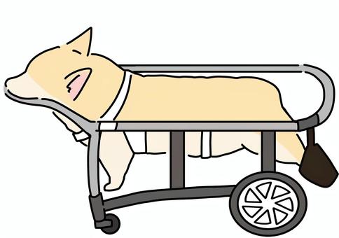 顎乗せあり車椅子とコーギー横　カラー 犬,胴長,ペット,車椅子,カラーのイラスト素材