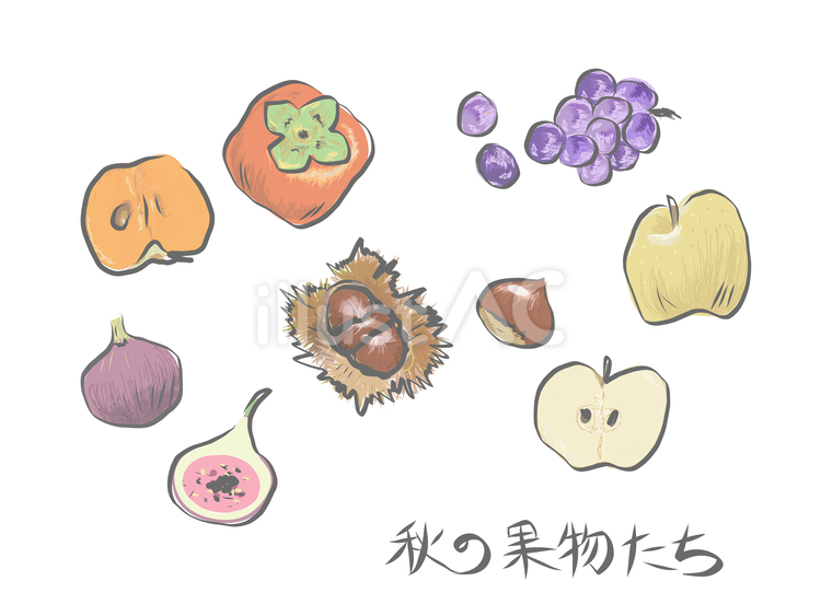 秋の果物たち和風 果物,柿,梨のイラスト素材