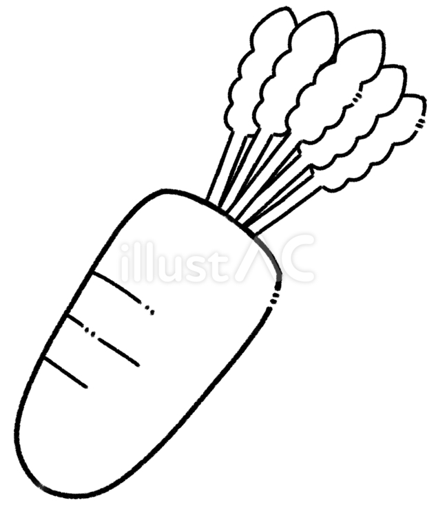 だいこん　線画 大根,野菜,食べ物のイラスト素材