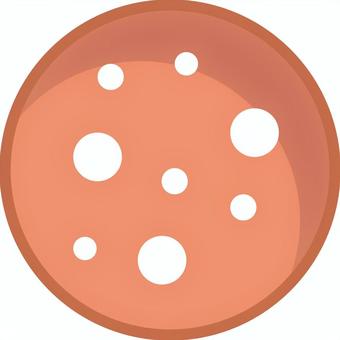 ハム ハム,ロースハム,ボンレスハム,肉製品,お肉,加工食品,肉類,朝食,昼食,ソフトサラミのイラスト素材