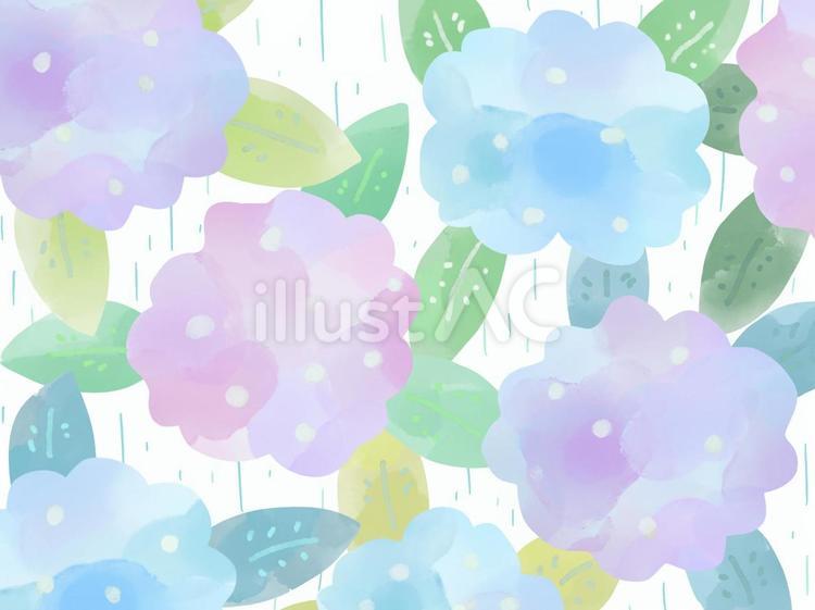 水彩風あじさい柄の壁紙 あじさい,紫陽花,壁紙のイラスト素材