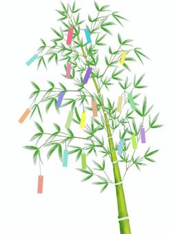Bamboo decoration (bright fresh green color), JPG and PNG Bamboo decoration (bright fresh green color), bamboo grass, bamboo decorations, tanabata, JPG and PNG