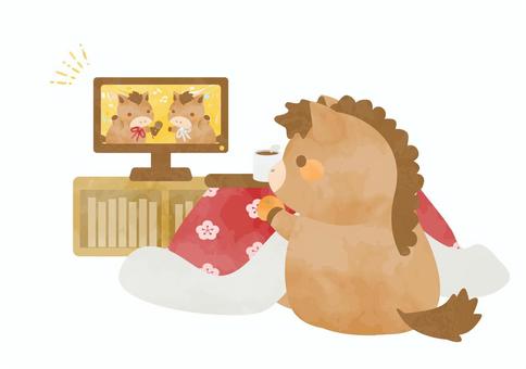 大晦日にテレビを見ているかわいいお馬さん 大晦日にテレビを見ているかわいいお馬さん 2026年,馬,動物のイラスト素材